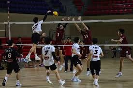 中超转会窗口动态频出